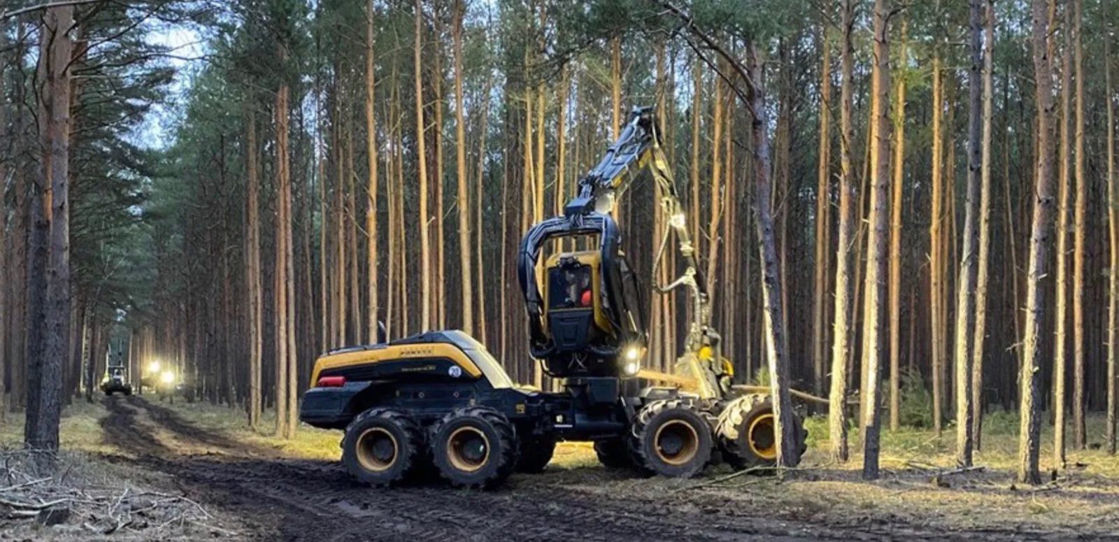 Tesla Gigafactory Berlin deforestation