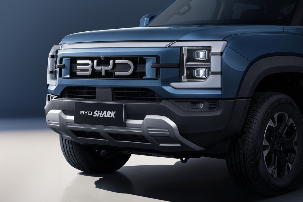 BYD-recolha de tubarão