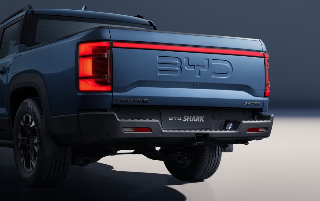 BYD-recolha de tubarão