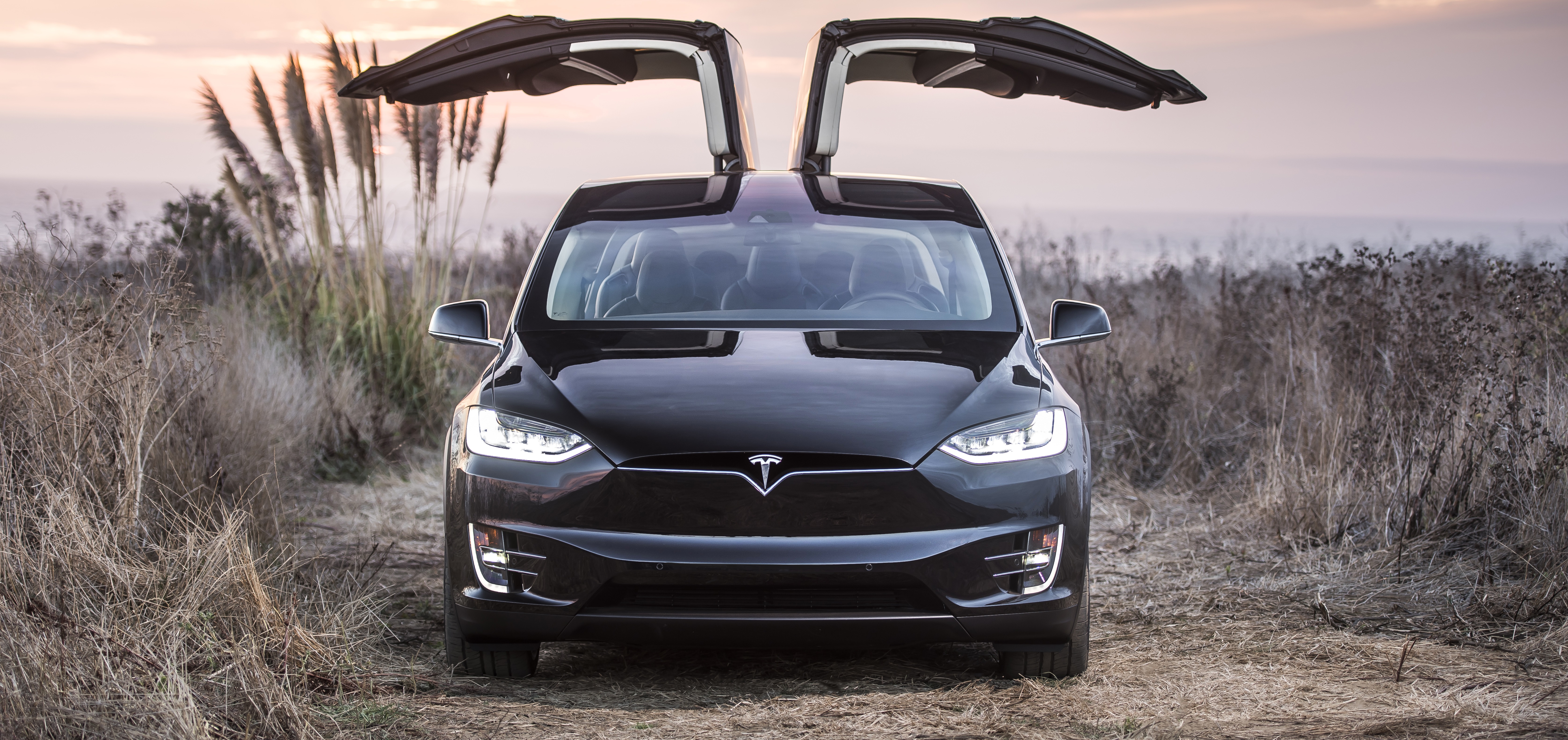 Модель s x. Tesla model x. Электромобиль Tesla model x. Tesla model x 2017. Tesla model x Tesla model x.