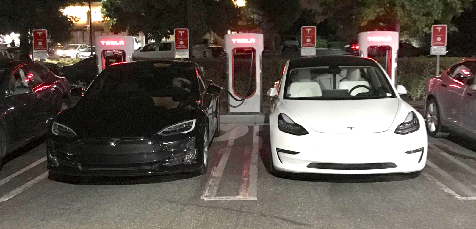 Tesla Model 3 With Unreleased White Interior Spotted Electrek