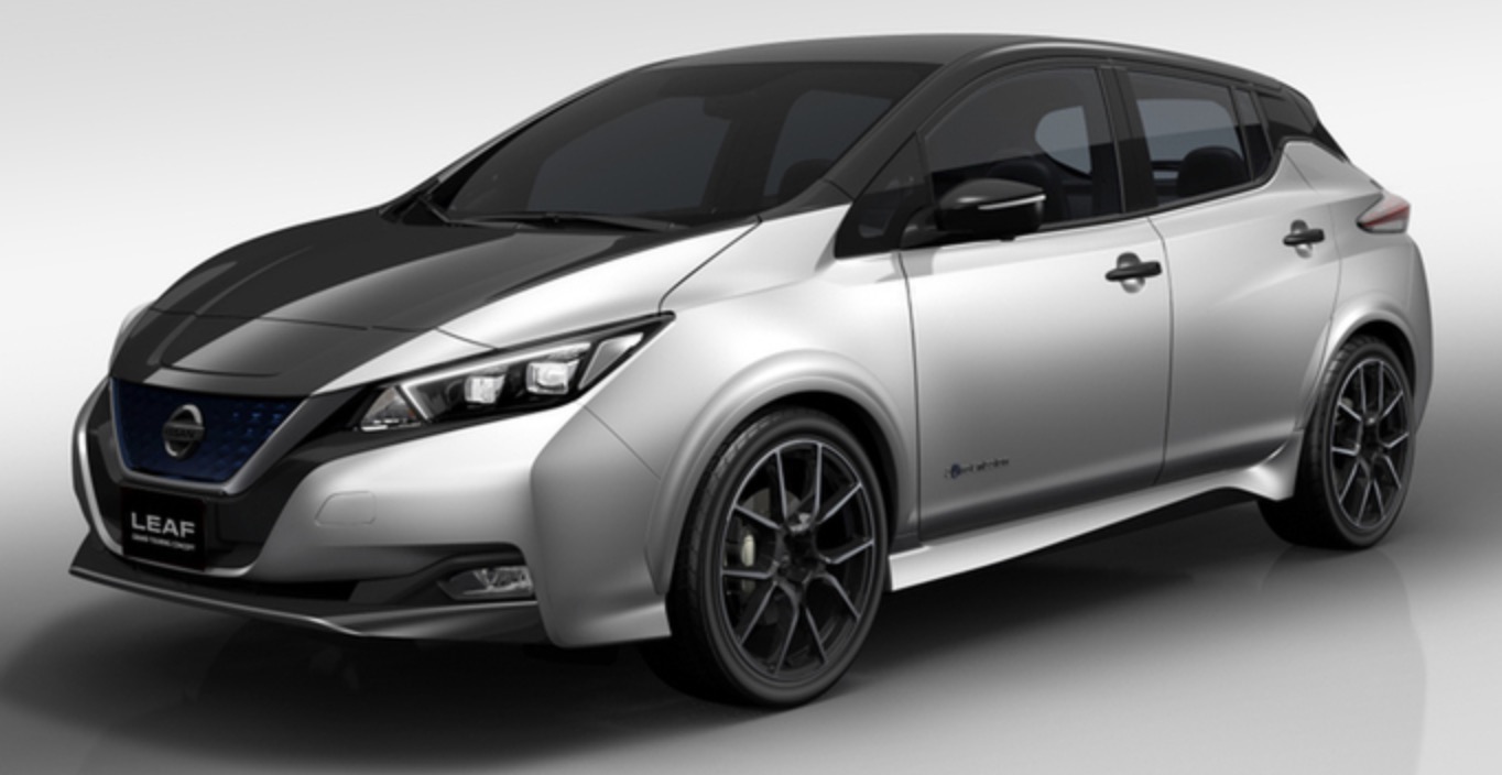 Cold area nissan leaf