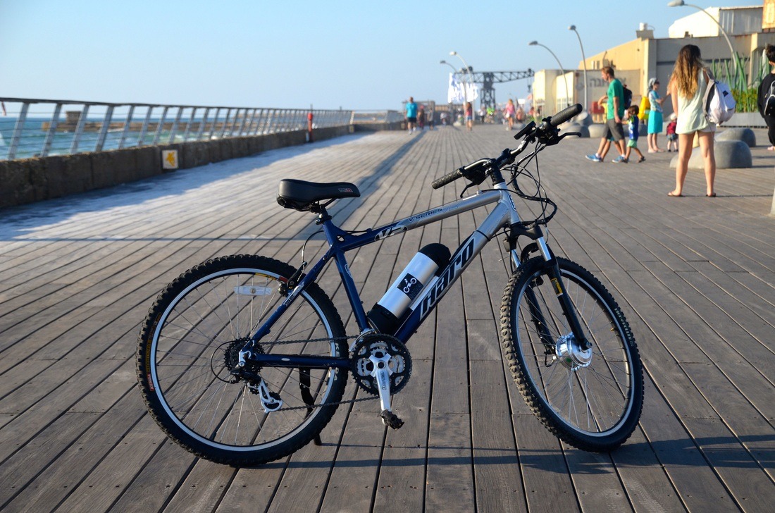 electric bicycle low price