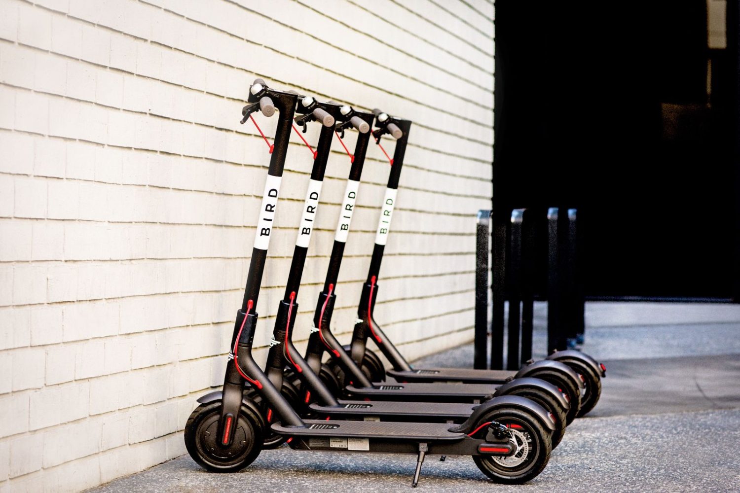 bird electric scooters