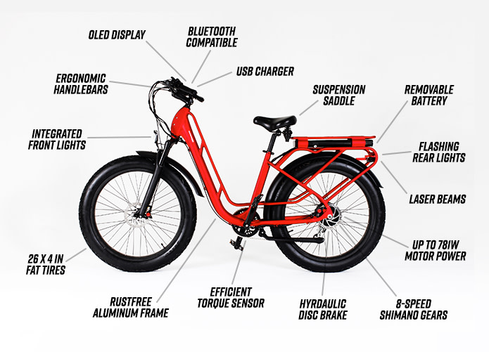 This is why so many electric bicycles 