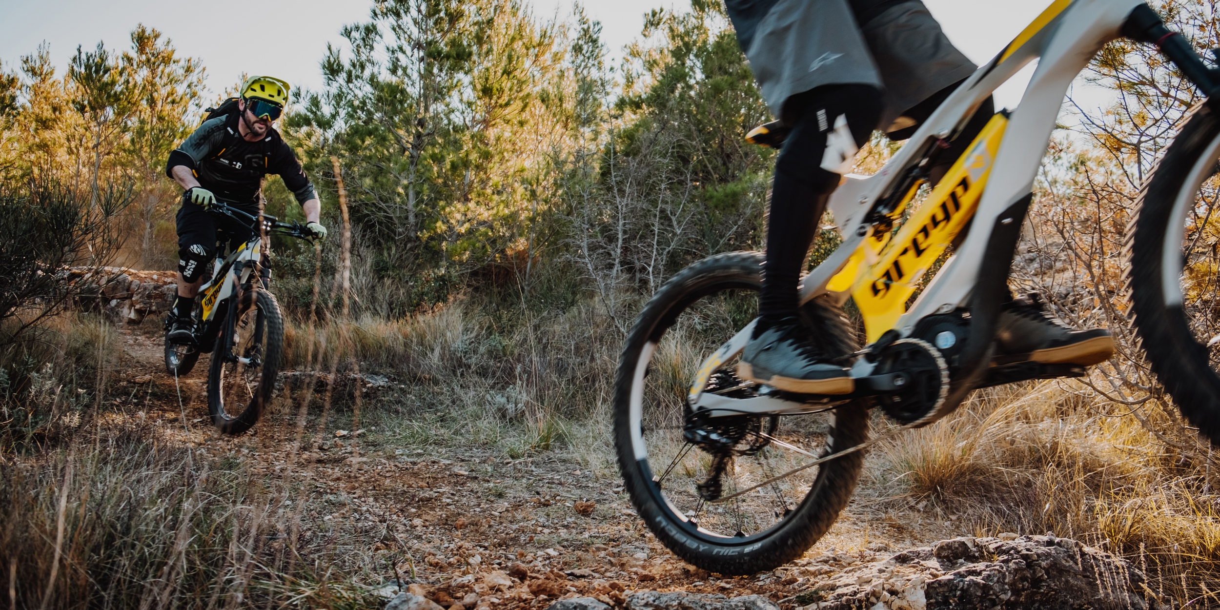 It's official All electric bicycles are now allowed in all national