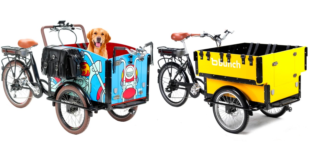 electric bike dog carrier