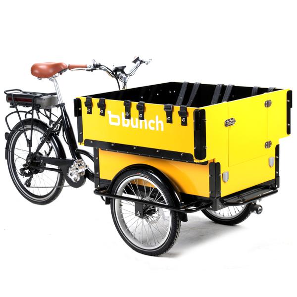 Preschool electric cargo bike