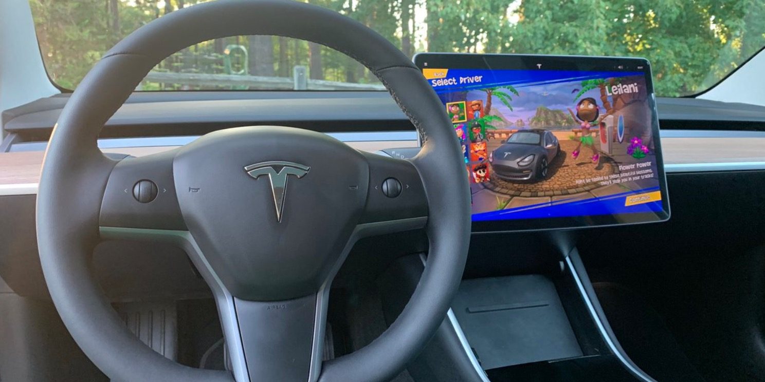 Tesla model shop 3 vegan