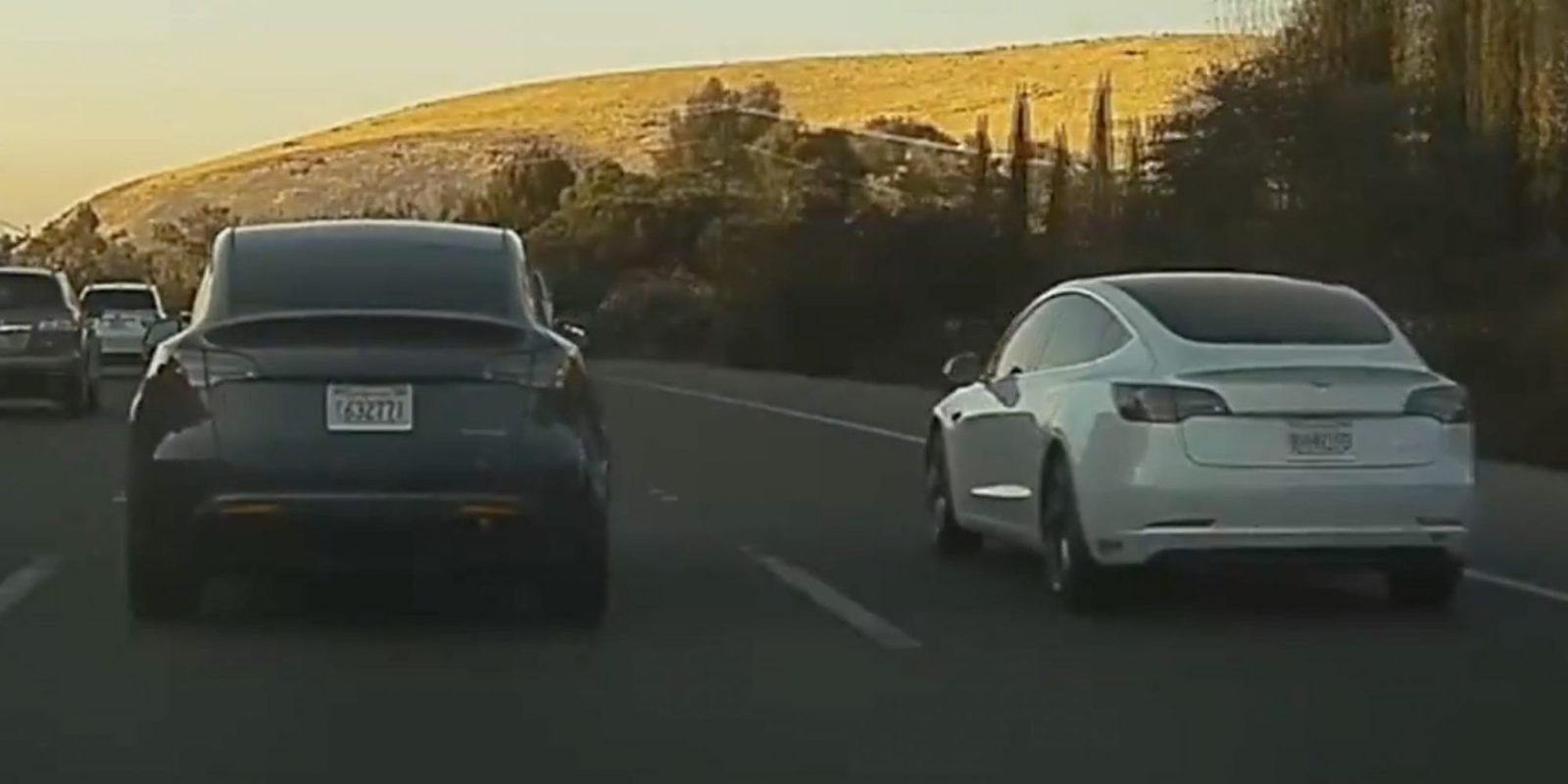 Tesla Model Y Spotted Driving Side By Side With Model 3