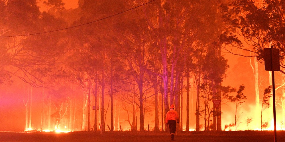 Climate Crisis Weekly: Why is Australia being ravaged by fire? - Electrek