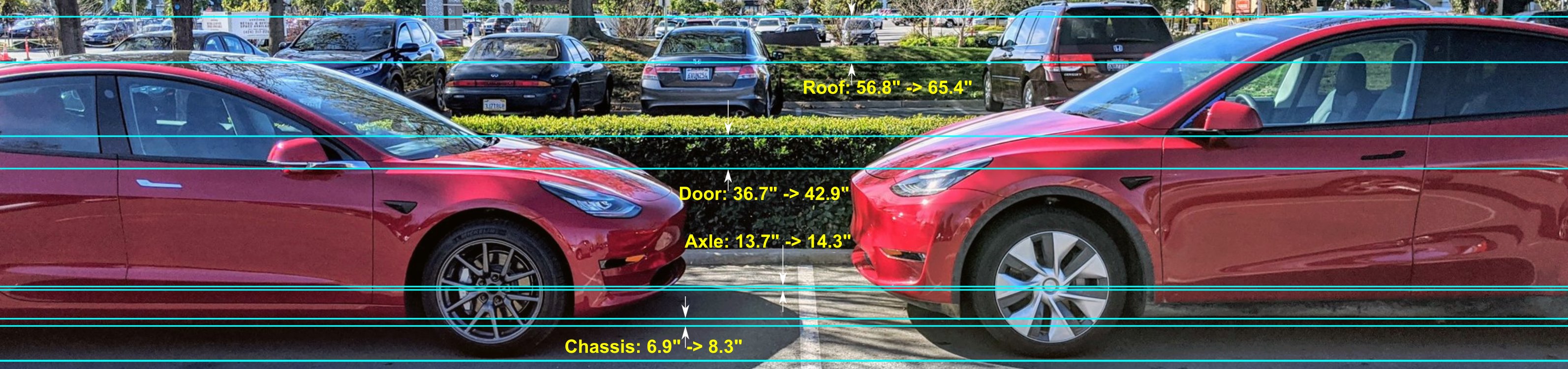 Another Tesla Model Y size comparison shows higher ride height, easier