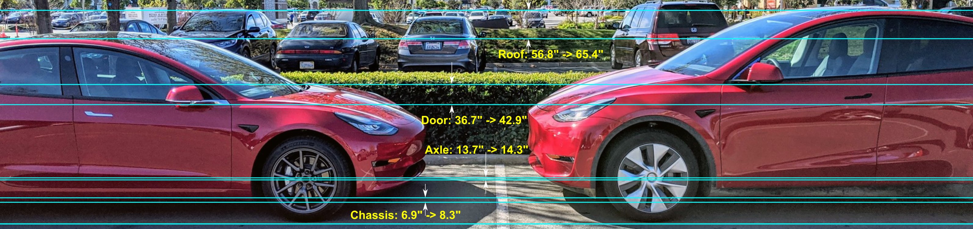 Tesla Model Y Comparison Chart 3349