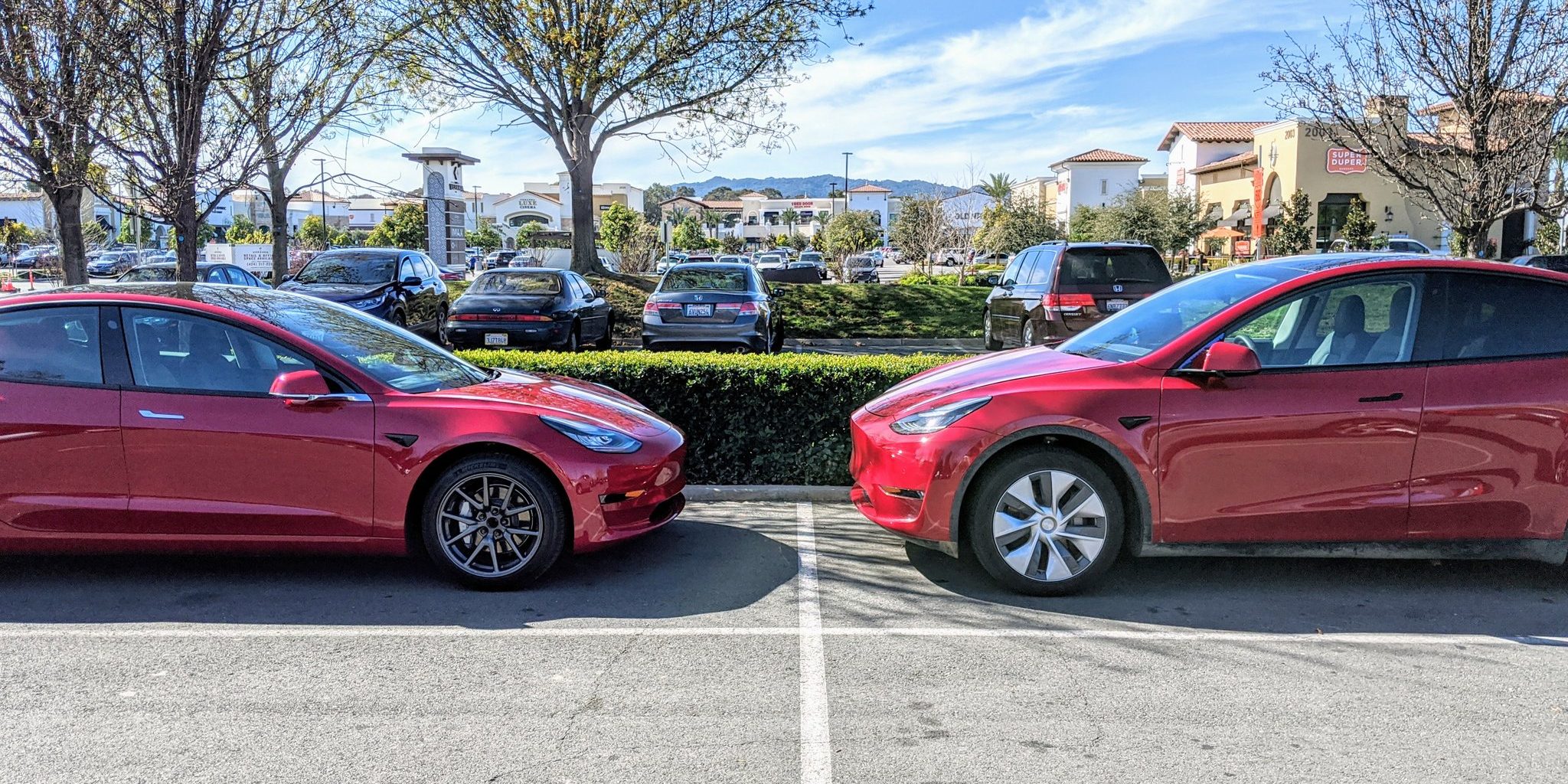 Another Tesla Model Y size comparison shows higher ride height