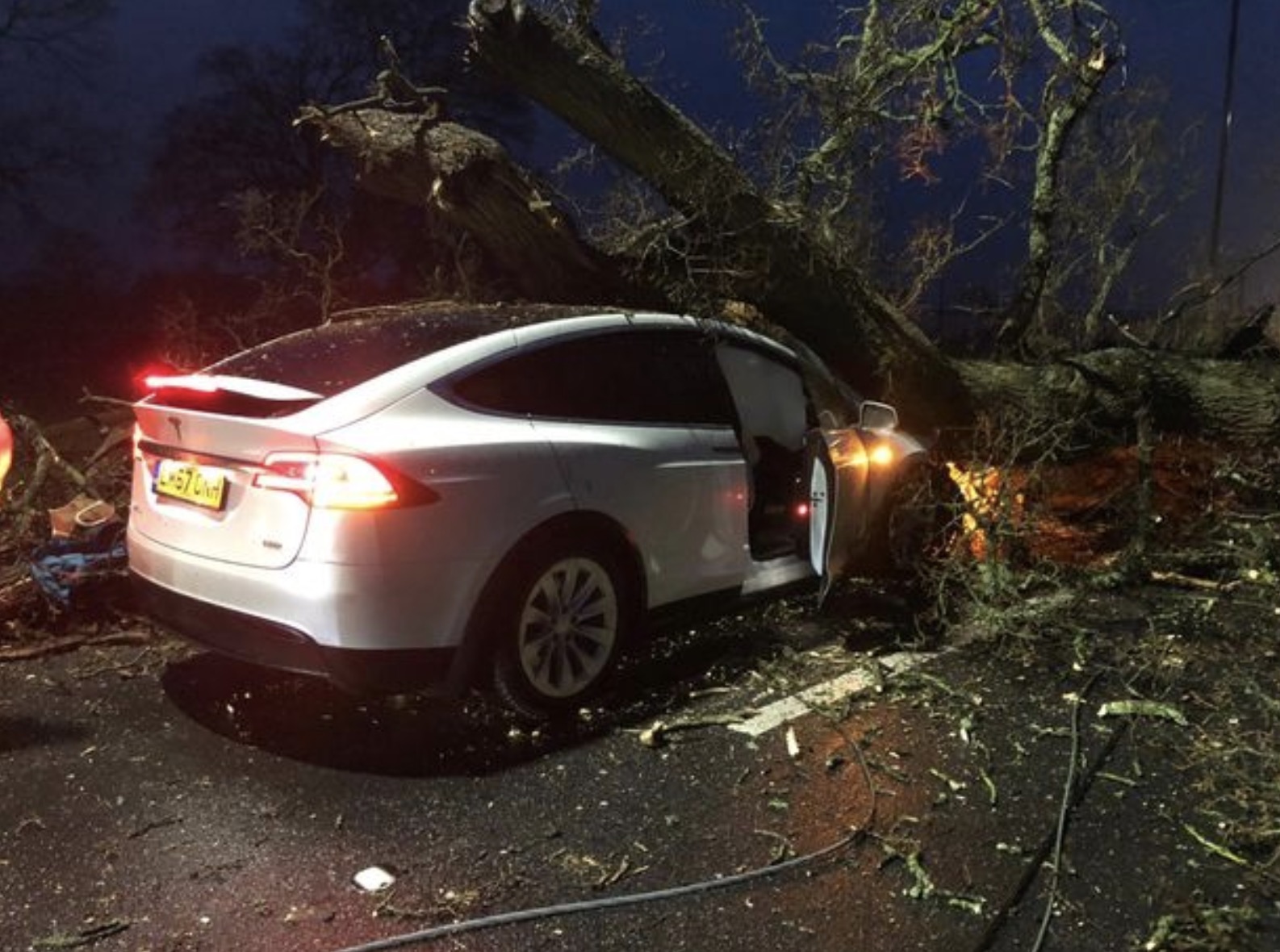 Tesla-Model-X-tree-accident-5.jpg?qualit