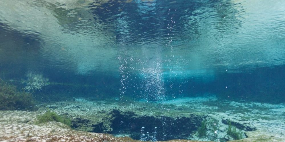 Nestle wants Florida's spring water so they can sell it back to us Electrek