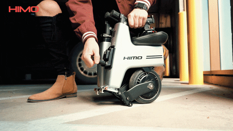 backpack electric bike