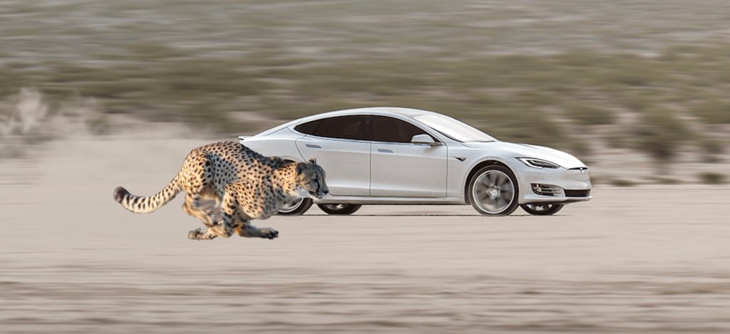 photo of Tesla is working on something called ‘Cheetah stance’ for the perfect launch image
