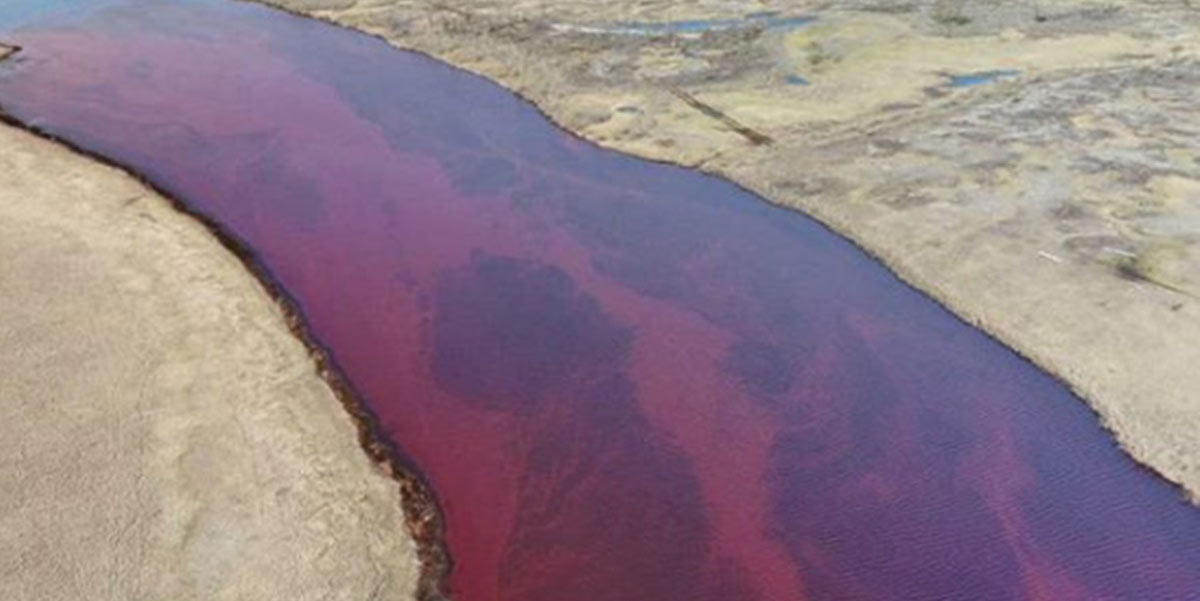 Oil Spill in Russia River 
