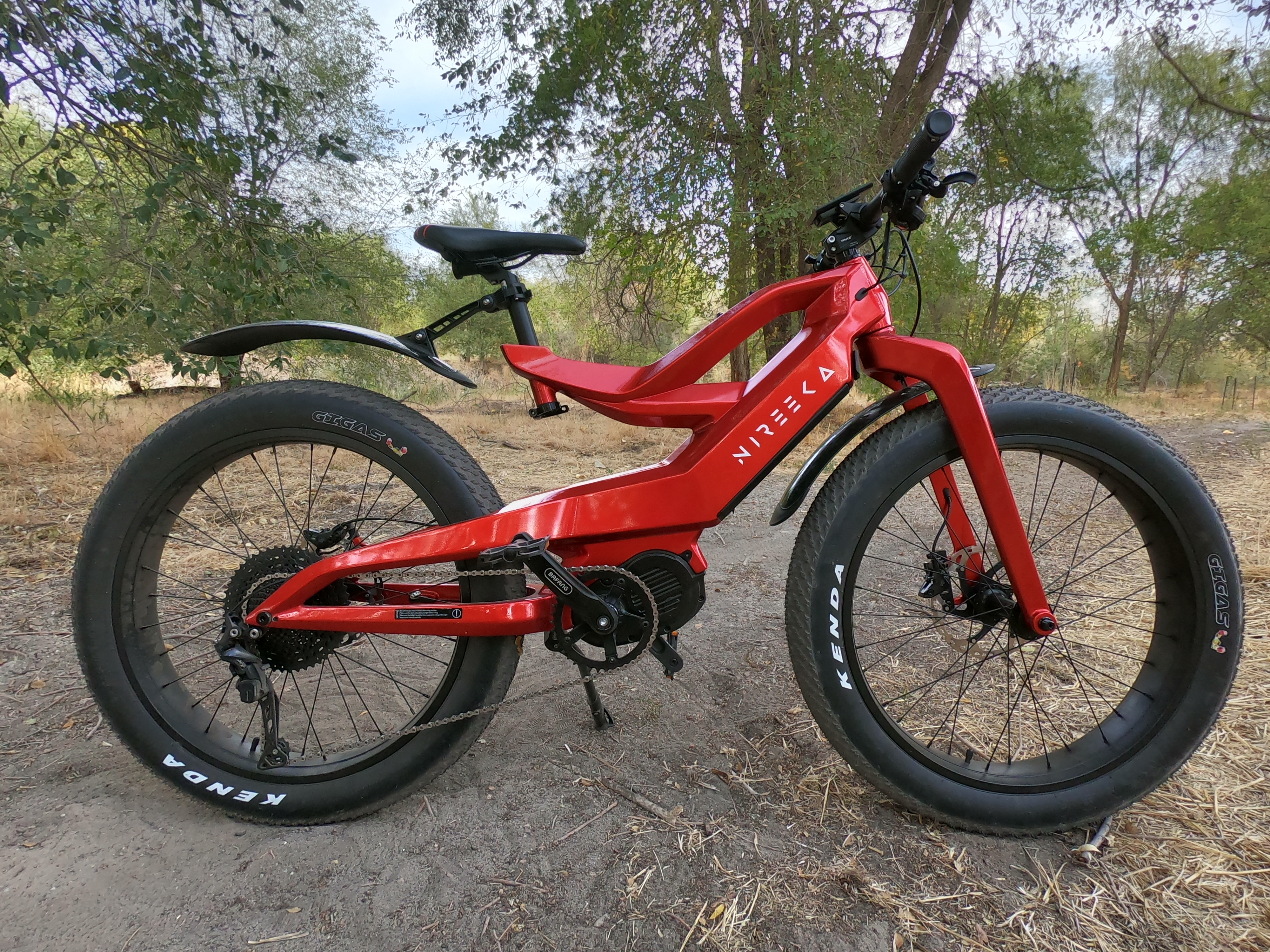 Prime fat online bike