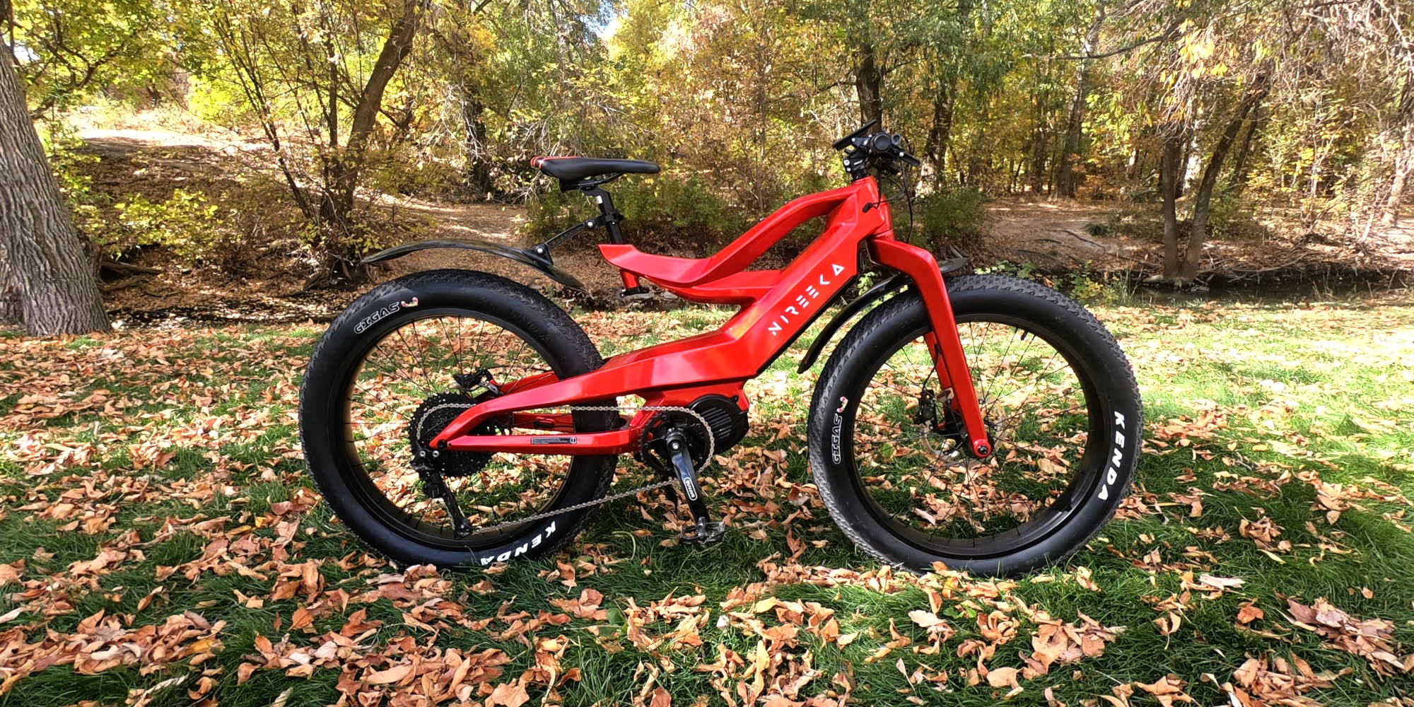 Nireeka ebike 2025 for sale