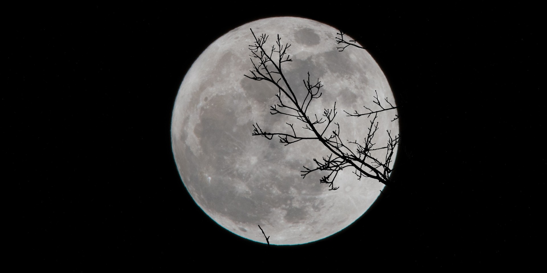 Lunar New Deal: GOP Rep. Gohmert suggests altering moon's orbit to combat  climate change