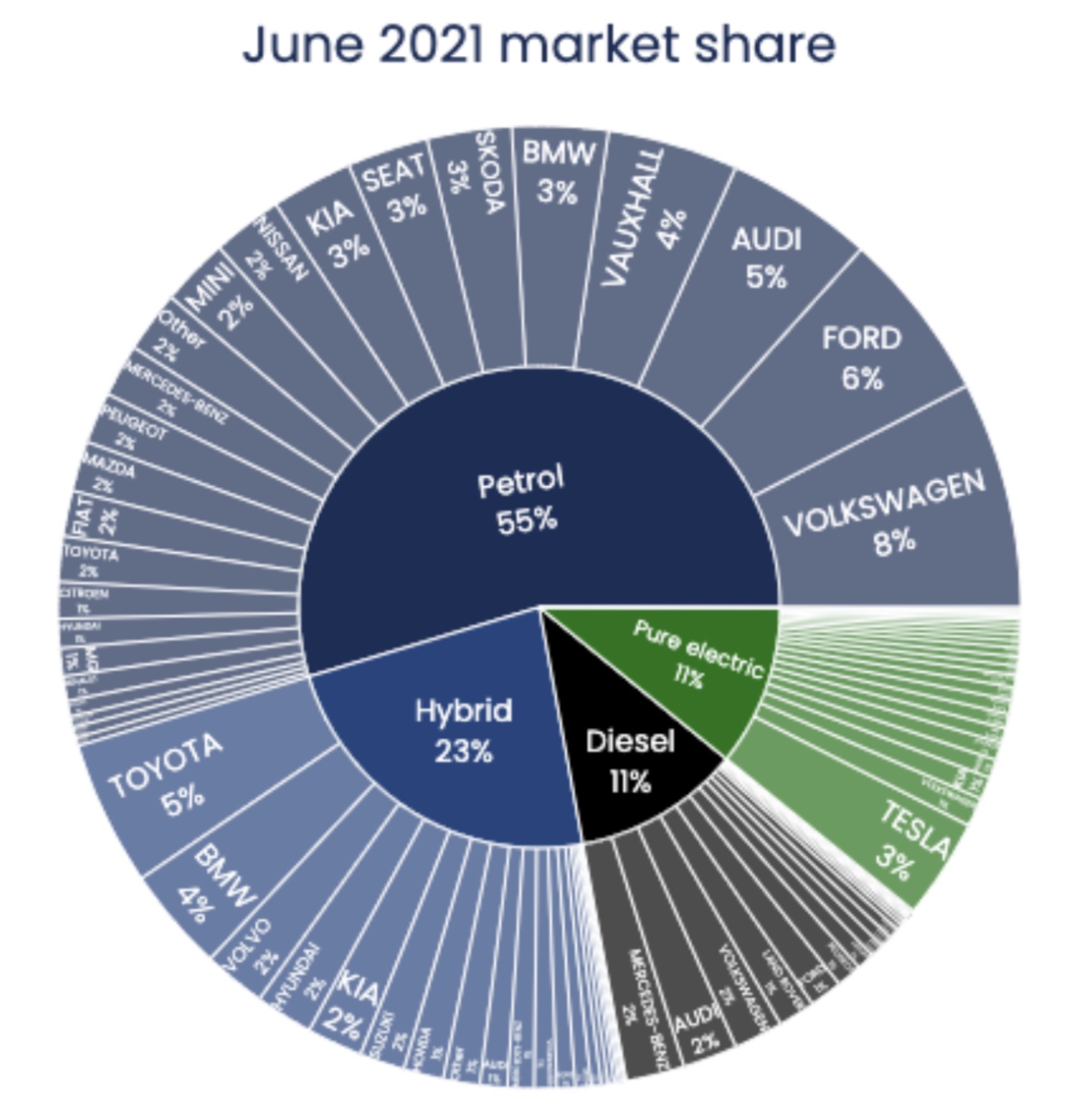 Tesla market share deals 2021