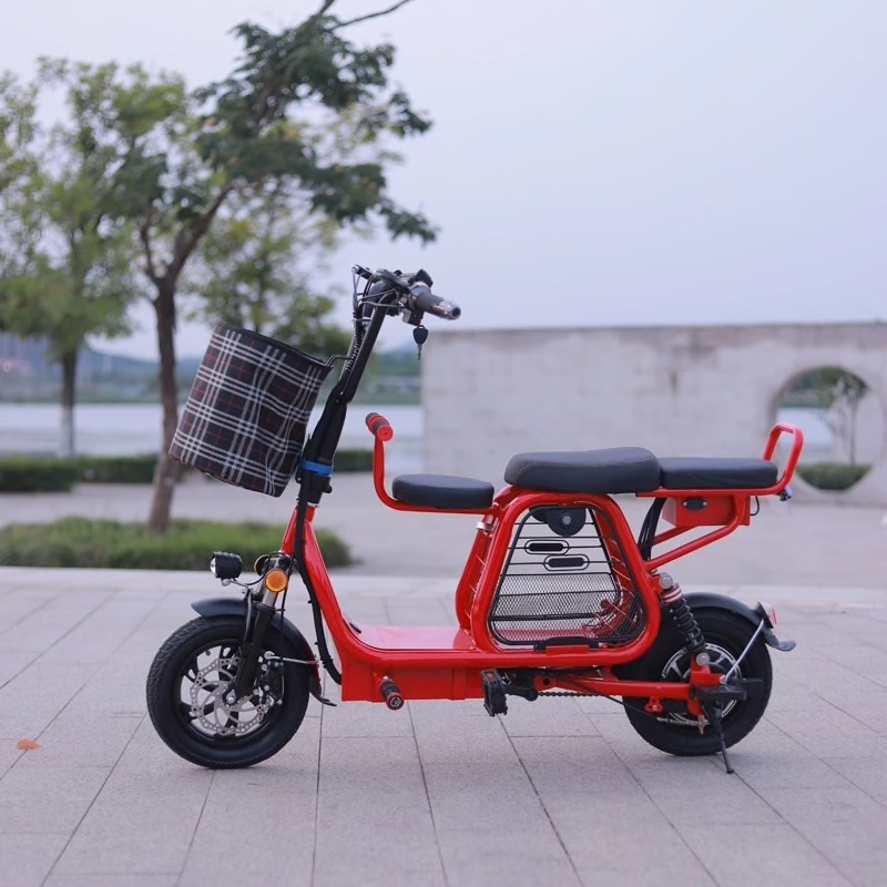 3 passenger electric bike