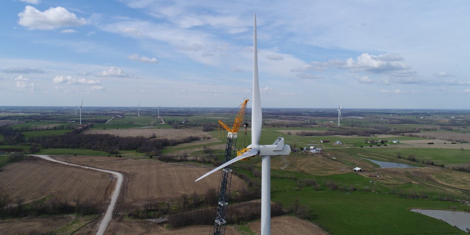 Missouri wind farm bats