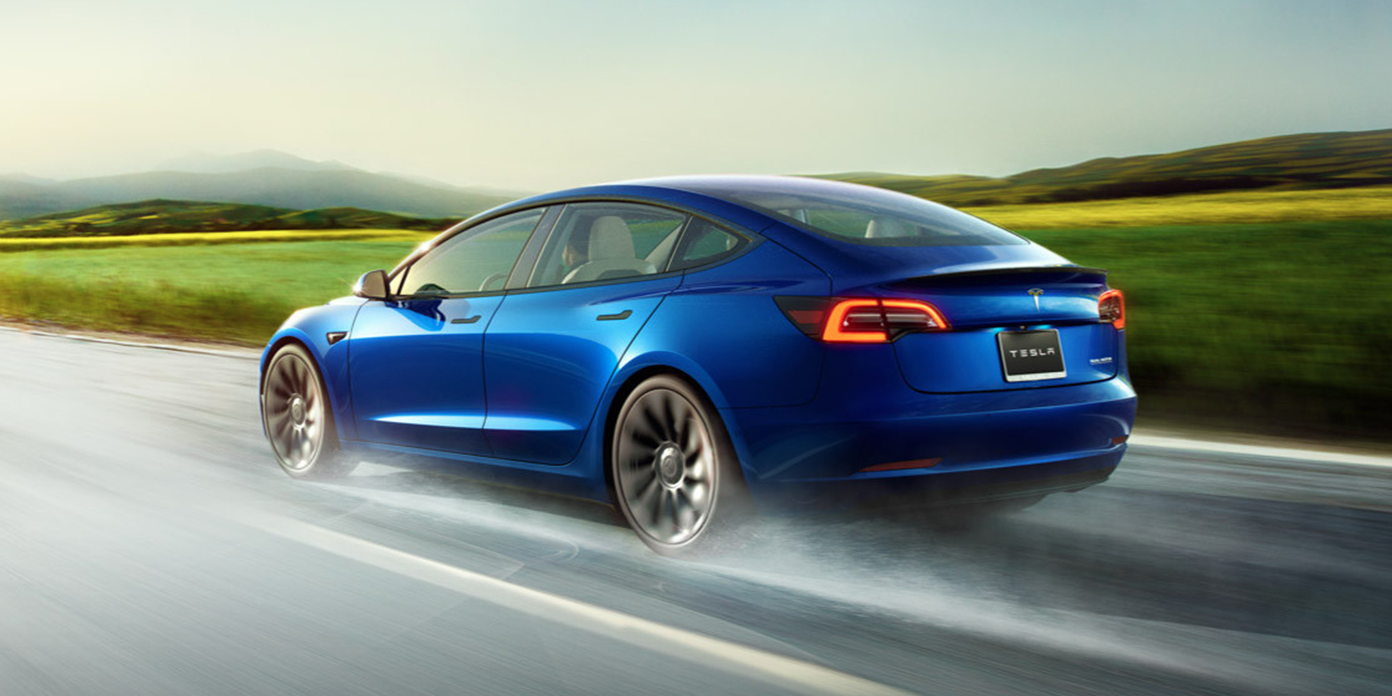 Elon Musk Tesla Model 3-2019 Hot Wheels Green Speed Series Sealed 