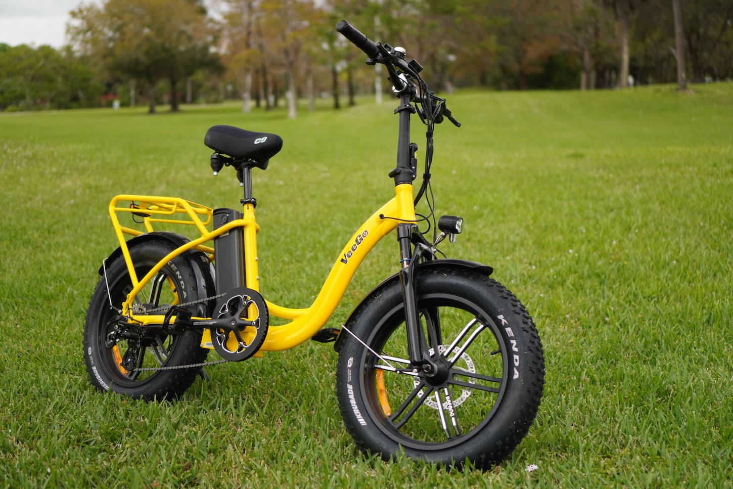 Veego store electric bicycle