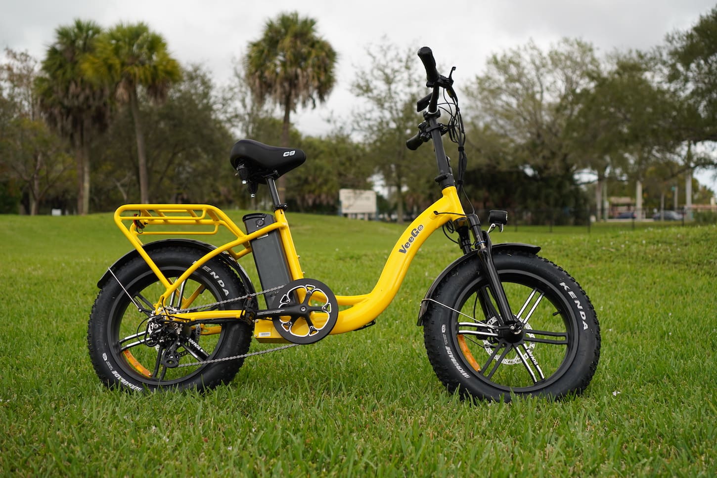 veego 750 electric fat bike