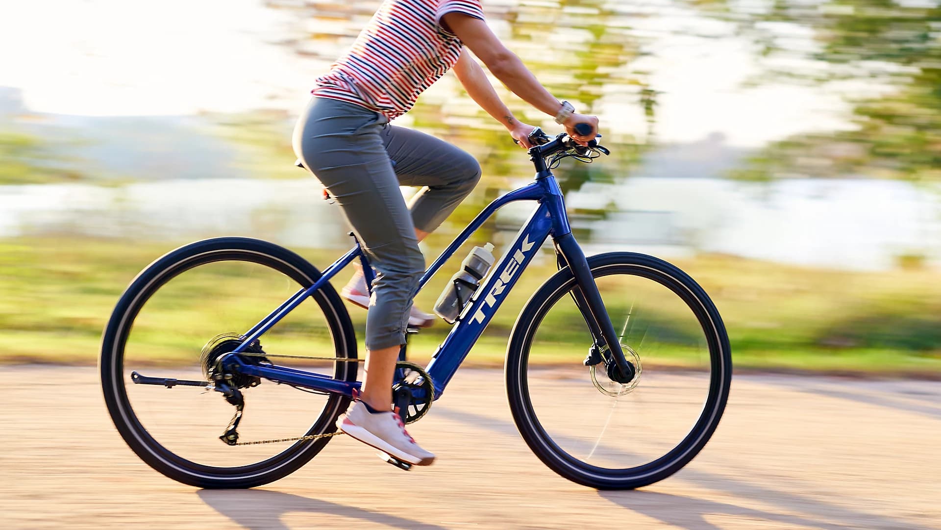 Trek dual sport deals ebike