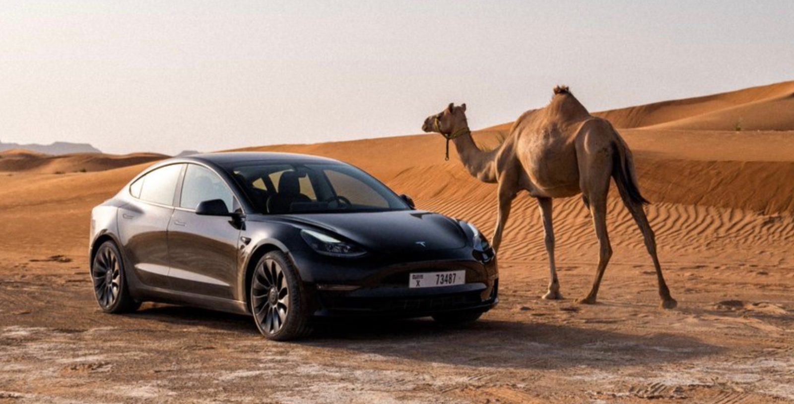 Tesla extreme heat testing dubai 1