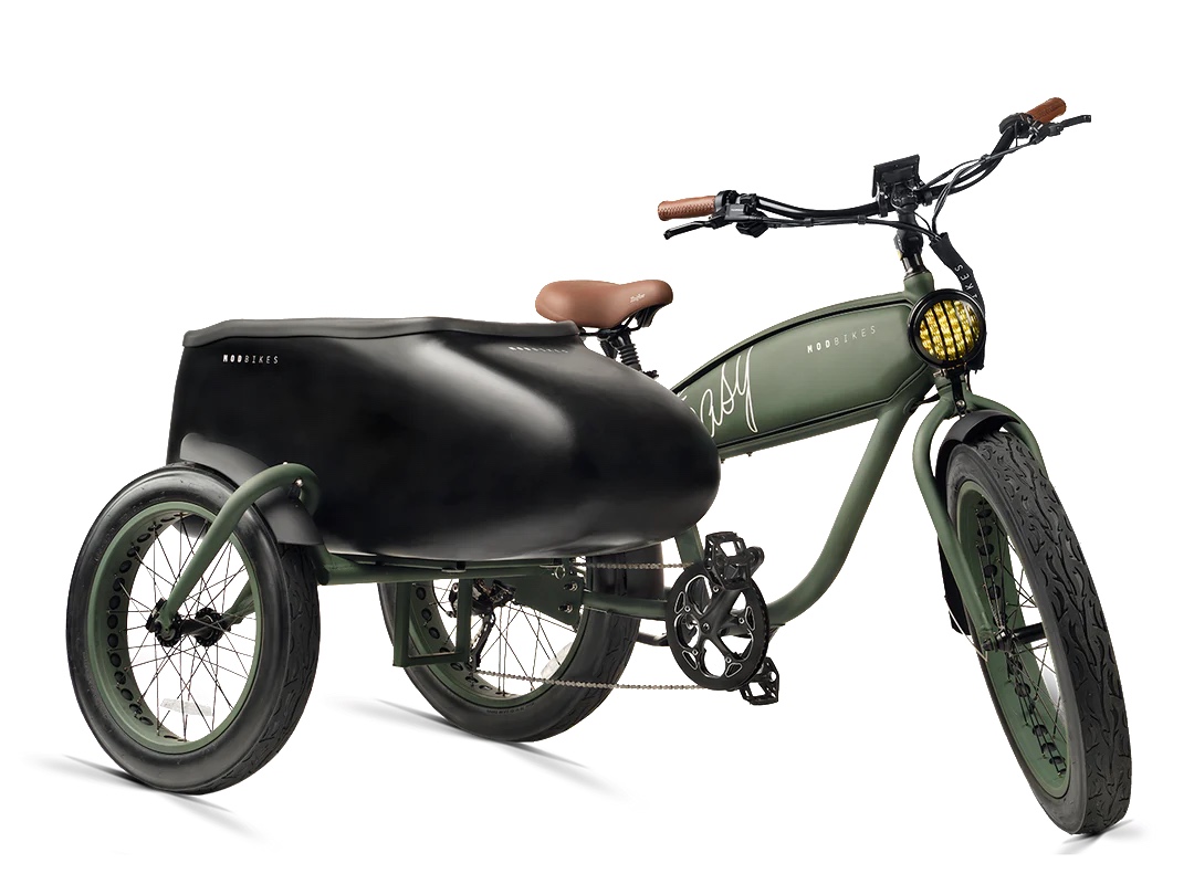 Electric bike with sidecar