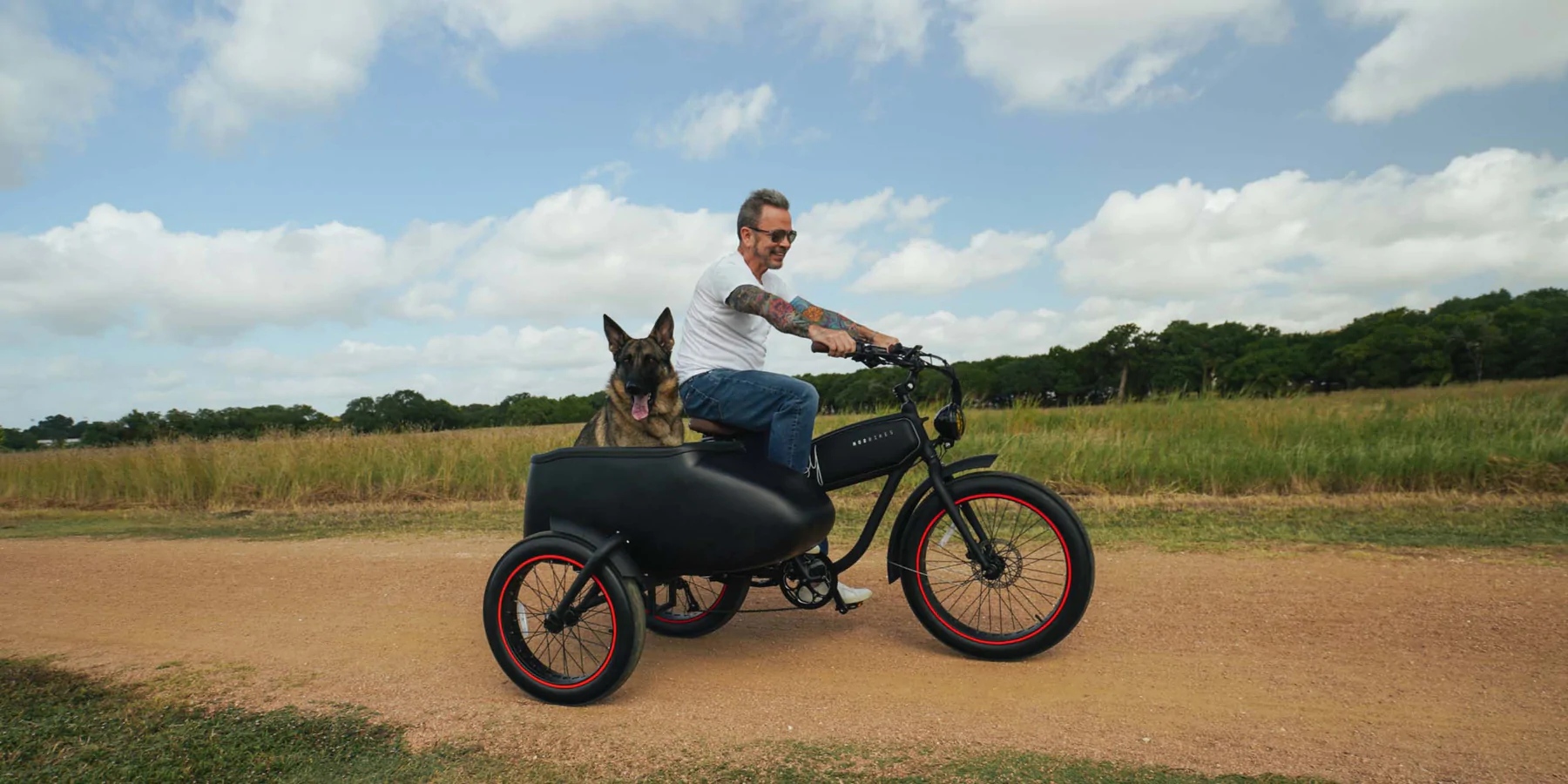 electric bike with sidecar for dog