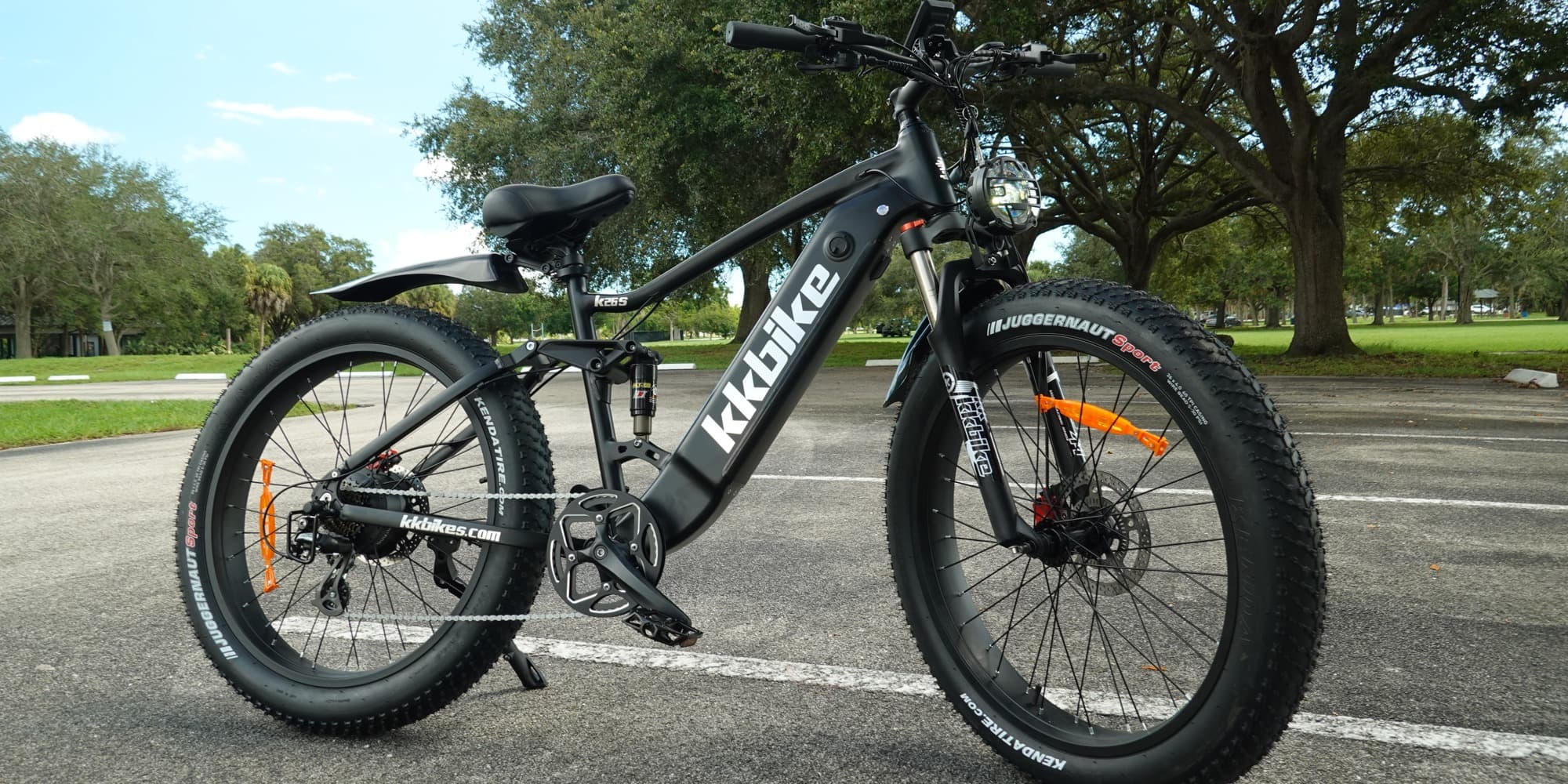 Top rated fat store tire electric bike