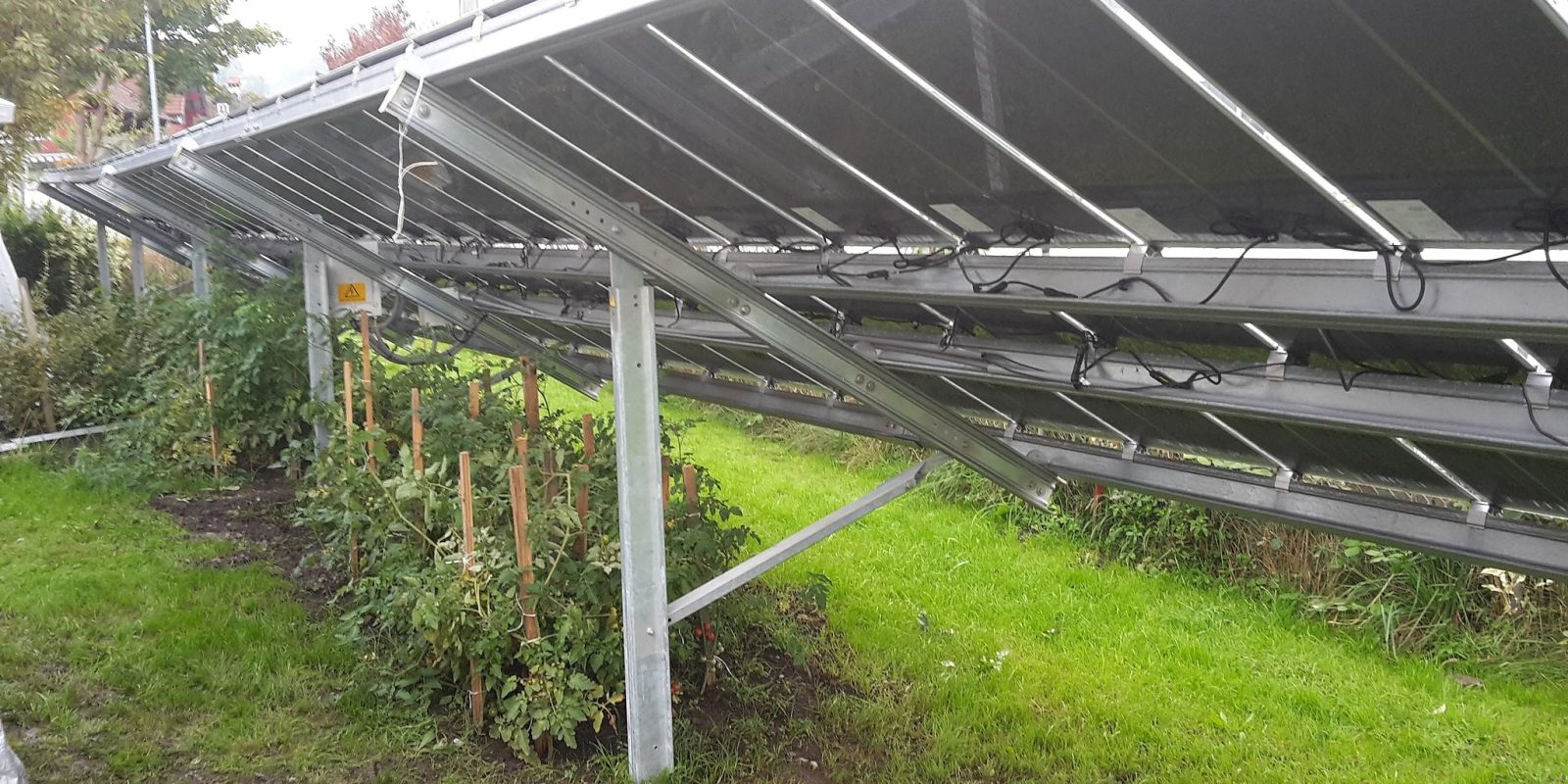 solar farming