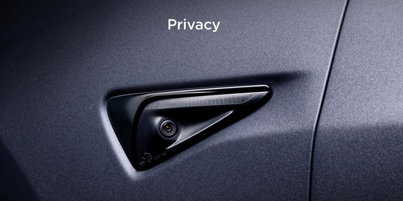 Tesla data privacy