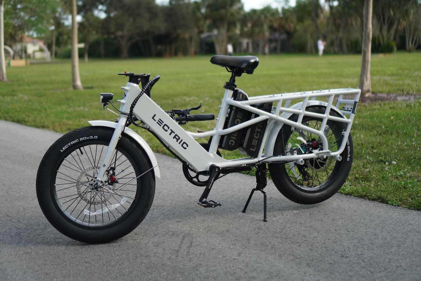 Lectric Xpedition Cargo Ebike - EBikeAI