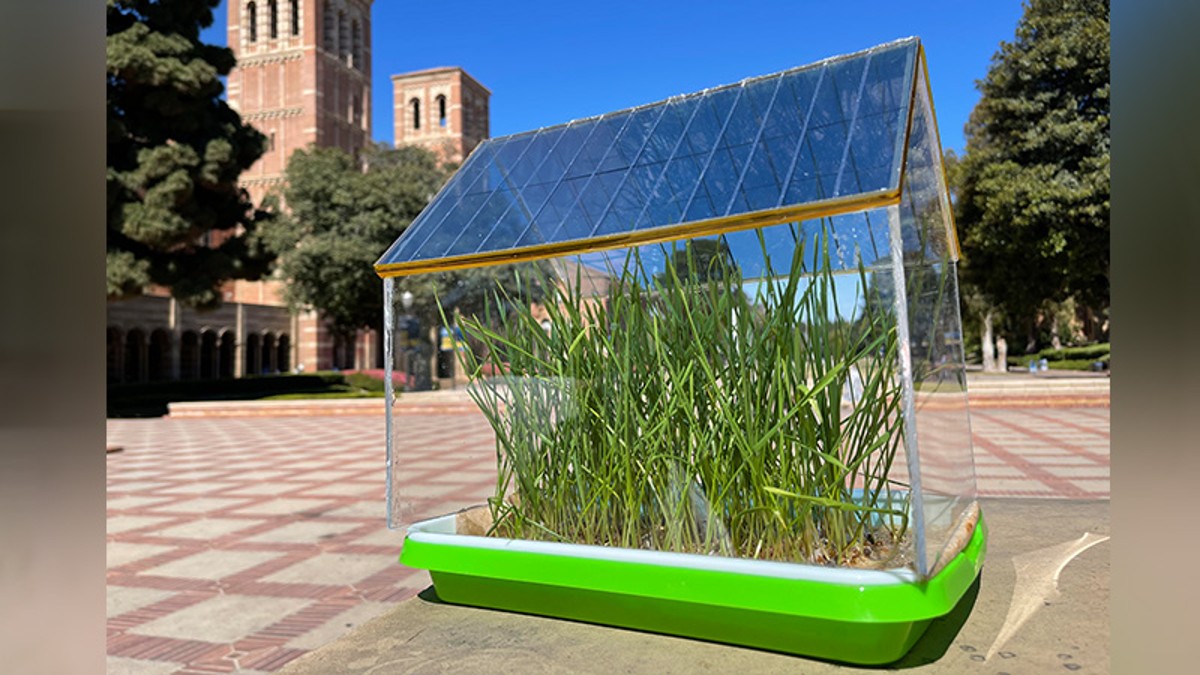 Solar-Roof-UCLA-greenhouses-1.jpg
