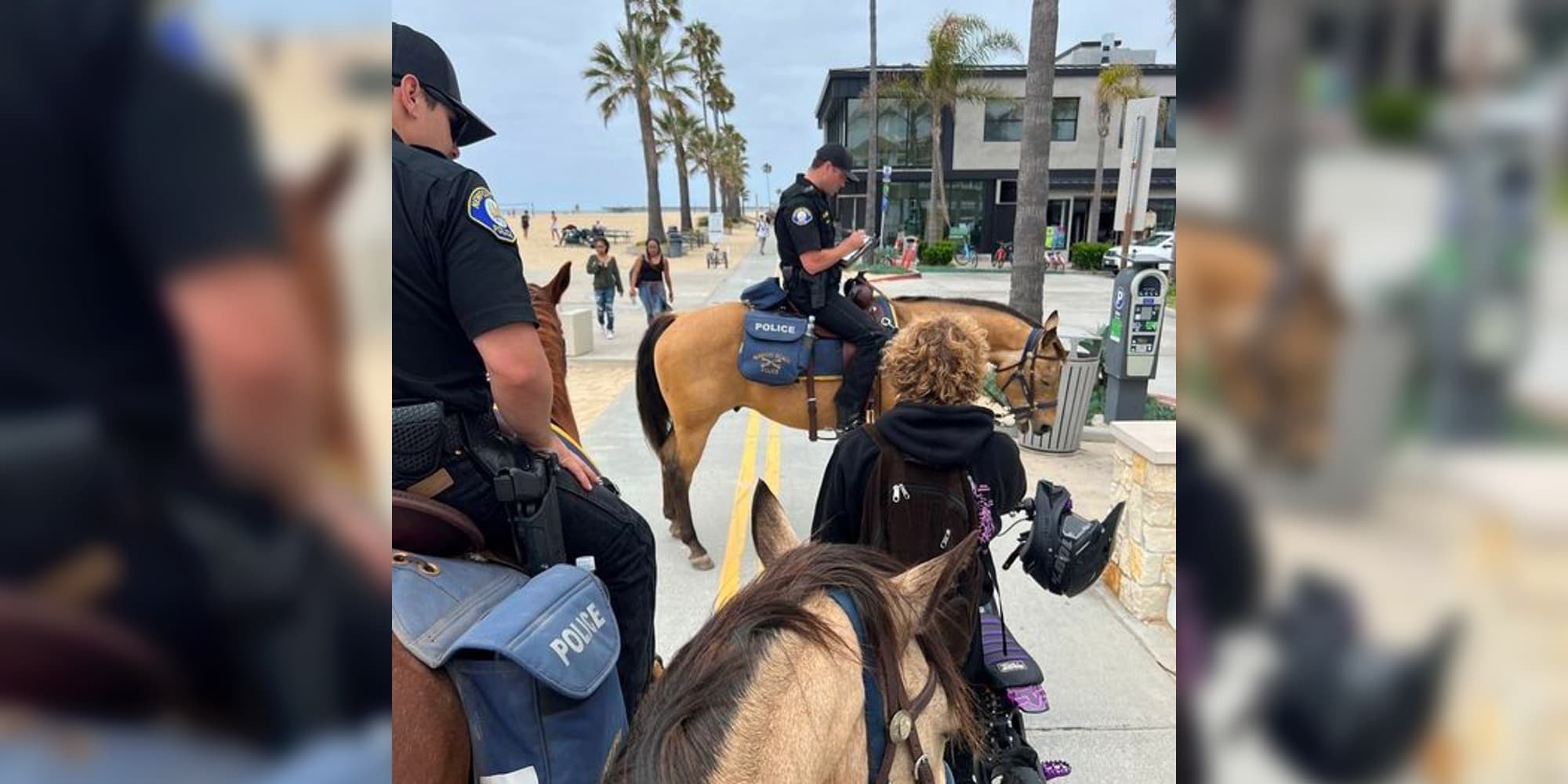 Cops On Horseback In California Are Cracking Down On Illegal E-bikes ...