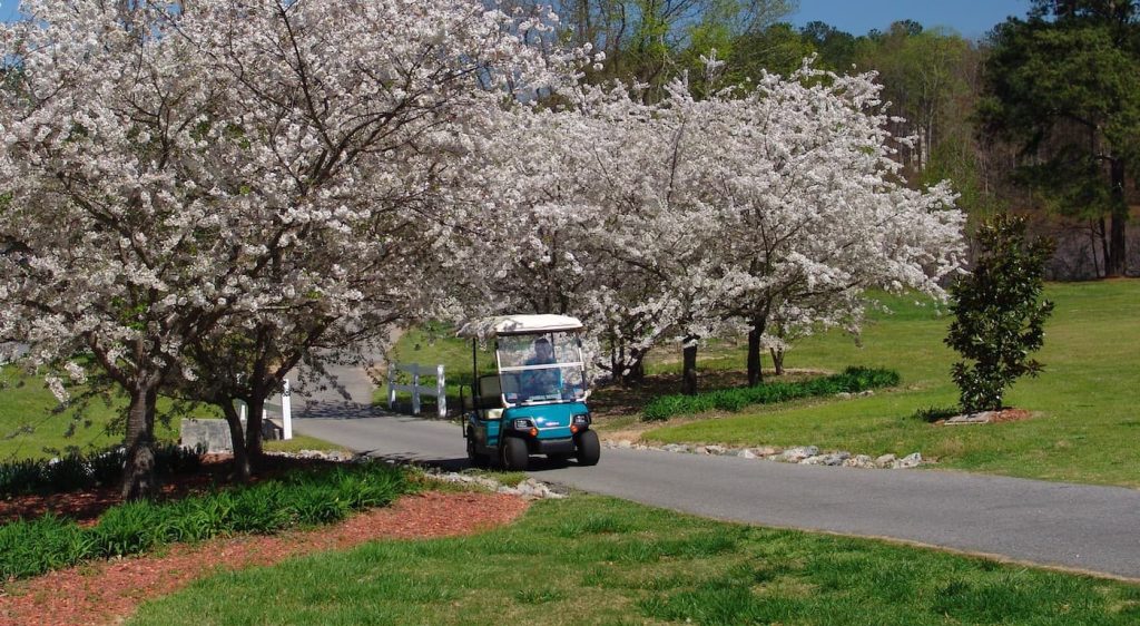 golf cart in Peachtree City, Georgia