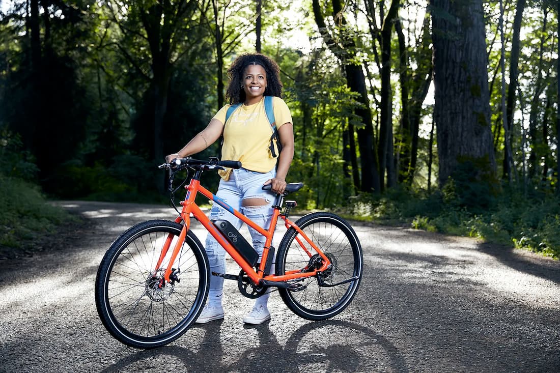 Type 2 store electric bike