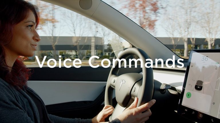 tesla voice commands car ai