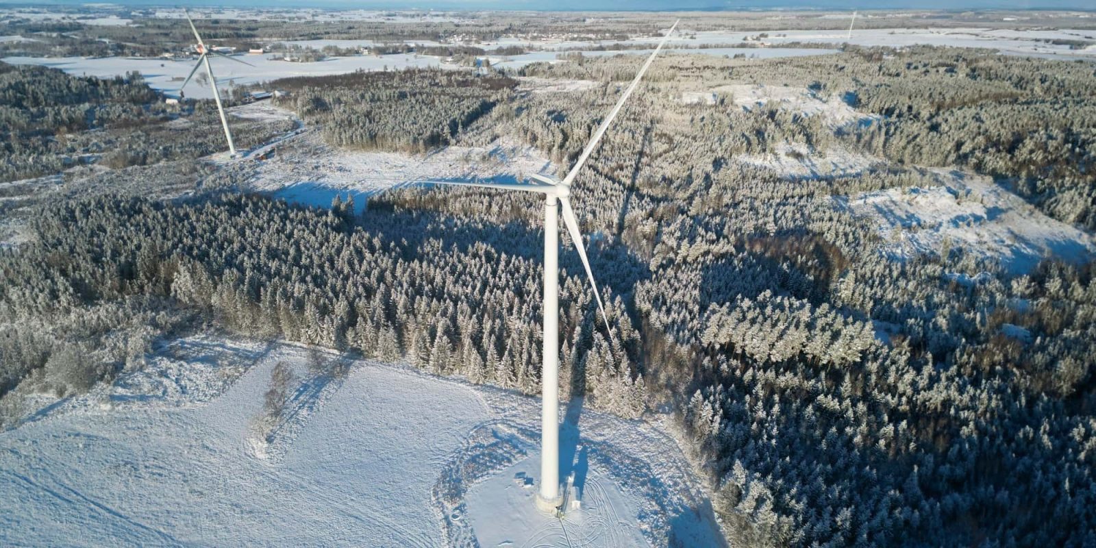 The world’s tallest wooden wind turbine is now online