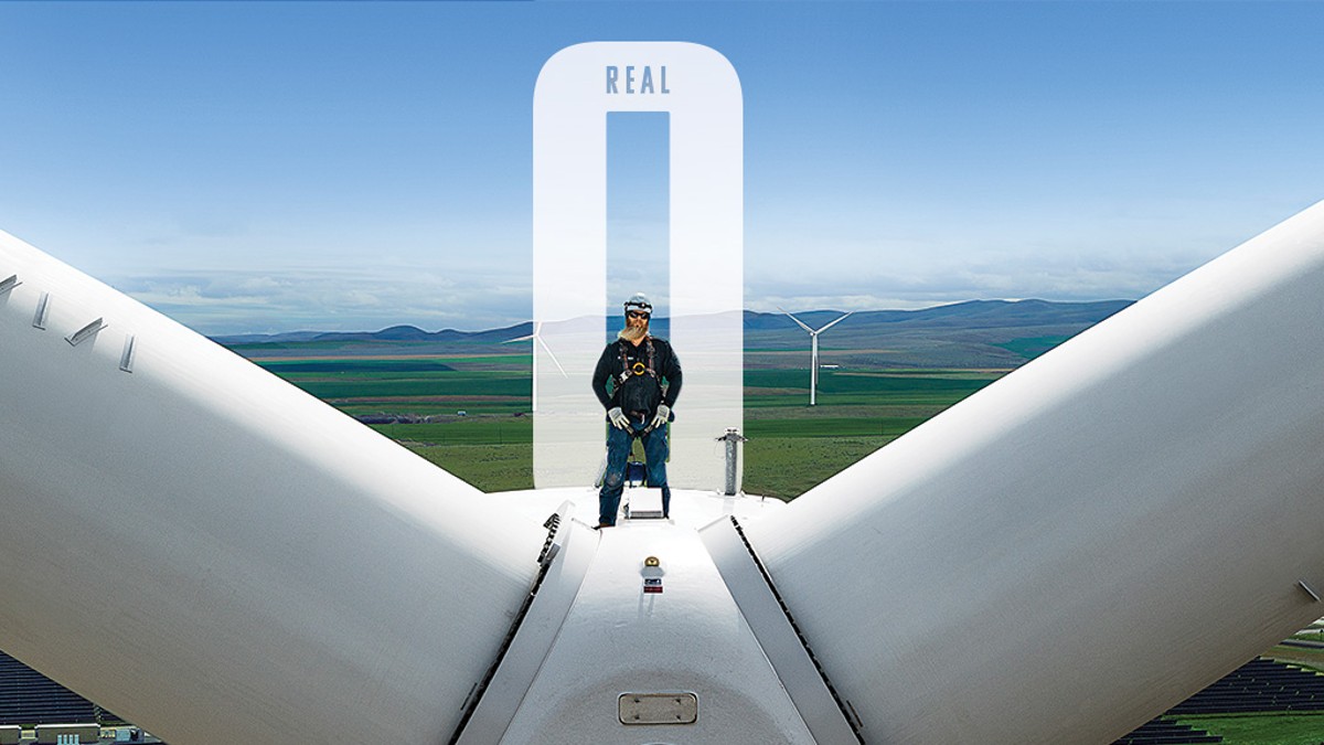 The largest developer of renewable energy in the US