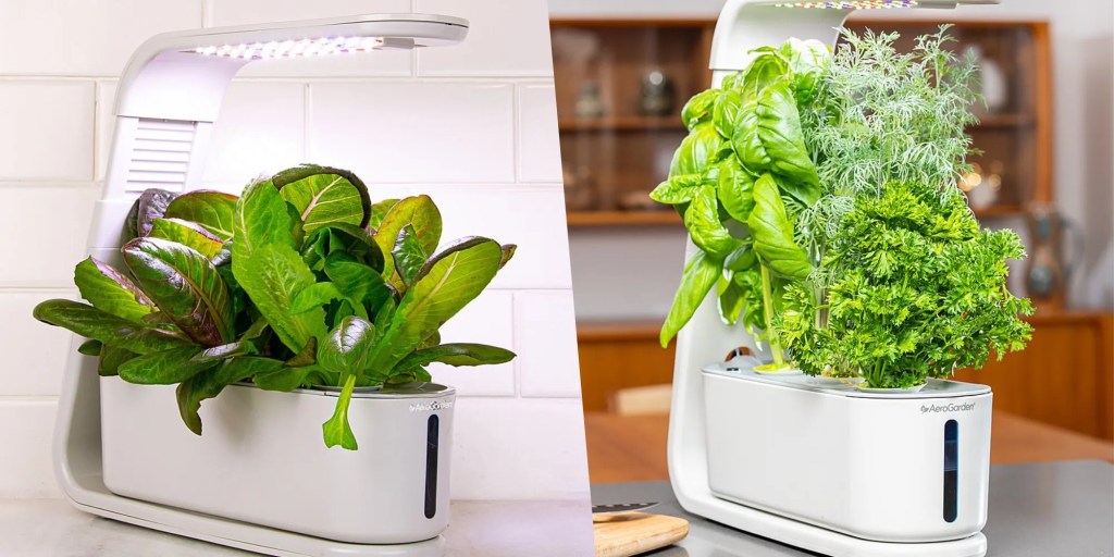 AeroGarden Sprout 3-plant indoor garden from two angles