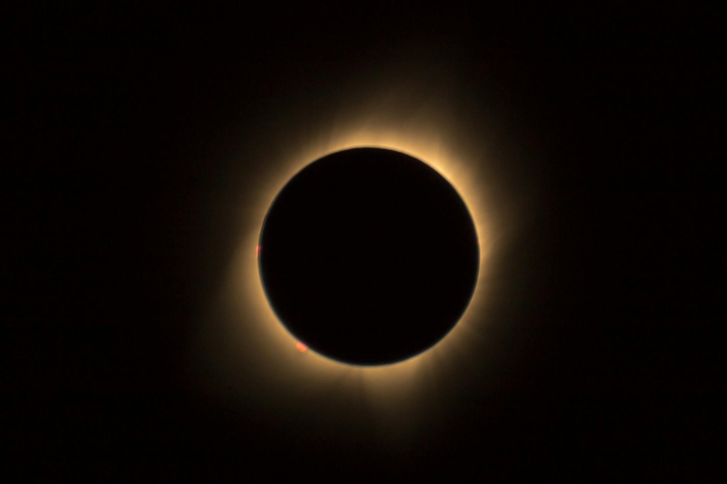 Vea el impacto del eclipse solar en la red de EE. UU. en tiempo real