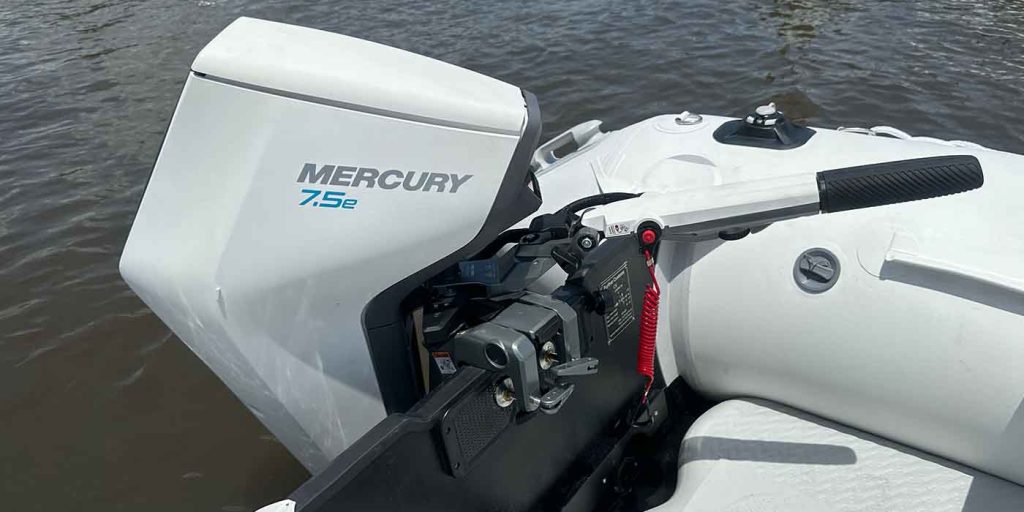 Mercury electric motor